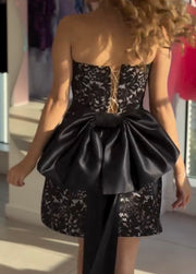 Sexy Lace Backless Tube Top Slim Fit Fishbone Waist Sheath Skirt